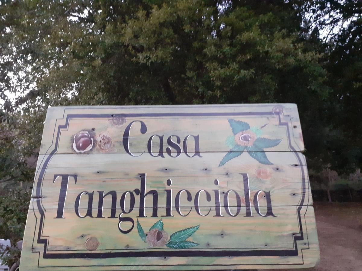 Apartament Casa Tanghicciola Levie Zewnętrze zdjęcie